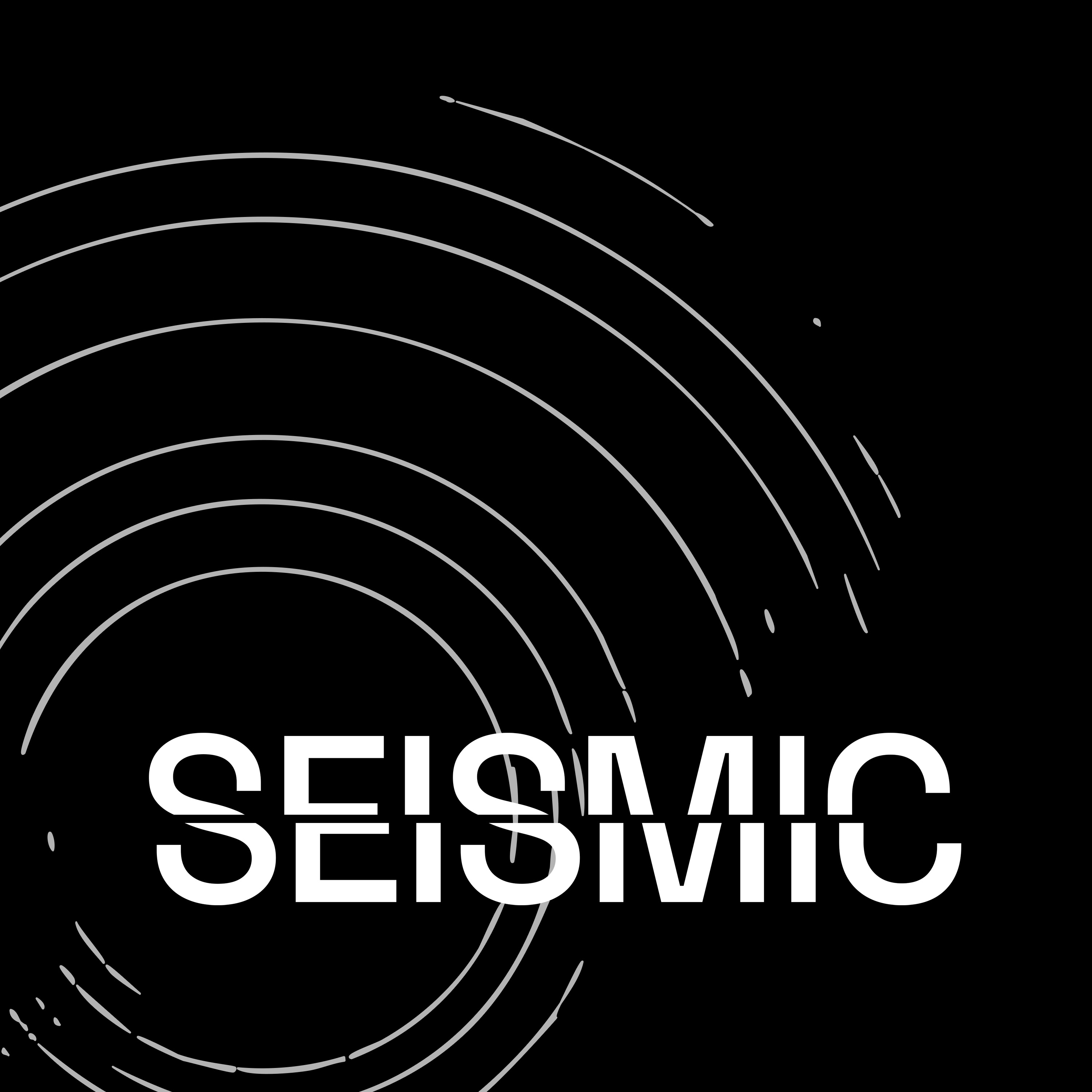 Seismic
